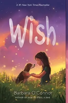 Wish by Barbara O'Connor